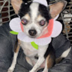 Meet your Posher, Karly